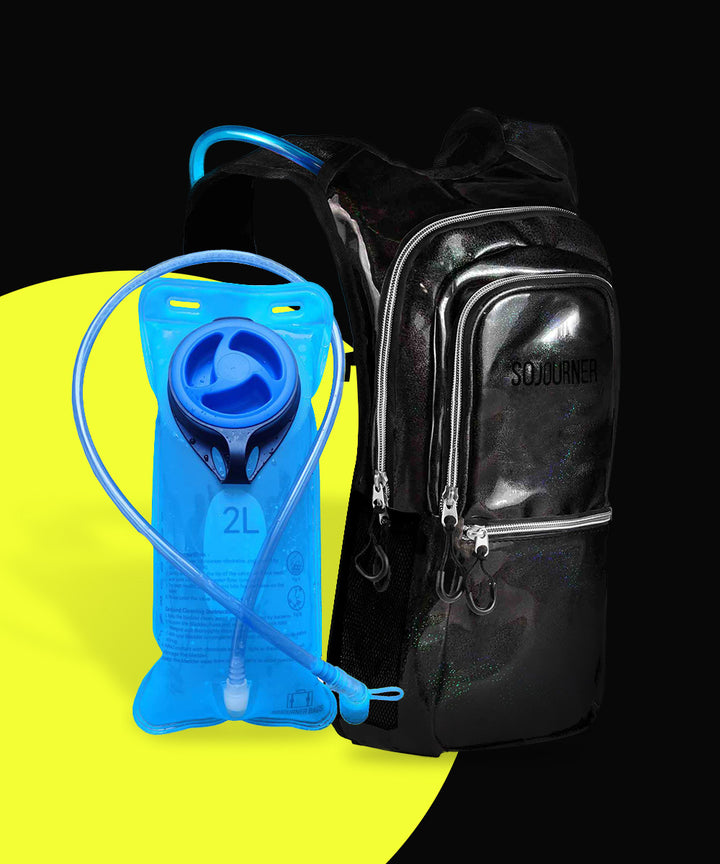 Why Do We Rave: The Science Behind Attending Music Festivals